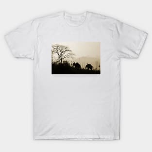 Asian Elephants Trekking In The Jungle Photograph T-Shirt